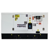 25kVA-60kVA 60Hz Geräuscharmer Dieselgenerator 3-Phasen Industrielle Stromstation für den US-Markt