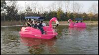 Bateau à pédales pour parc aquatique, bateaux à pédales en PE, bateau à pédales cygne flamant rose