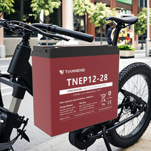 <span class=keywords><strong>Batterie</strong></span> Plomb-Acide AGM à Décharge Profonde Tianneng 12 V, <span class=keywords><strong>Batterie</strong></span> Portable 36 V pour Trottinettes Électriques, Chariots de Golf et Fauteuils Roulants Électriques - Product Image 6