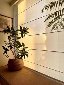 ستائر رومانية عمودية كهربائية بسيطة من البوليستر الكريمي الفرنسي، قابلة للتخصيص، مقاومة للماء، صديقة للبيئة، ستائر دوارة مدمجة سادة - Product Image 5