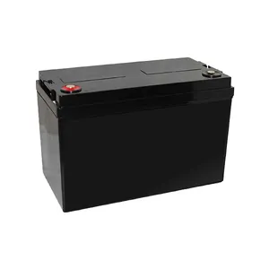 Energy Storage Ups Lifepo4 12v 100ah Bms Phosphate Lithium Iron Battery For Solar System