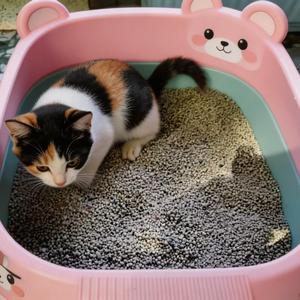 Arena para Gatos DongnaiPETS Ecológica, Biodegradable, de Aglutinación Rápida, Control de Olores, 99% Libre de Polvo, Absorbente, a Base de Bentonita, Zeolita y Almidón - Product Image 2