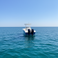 Bateau en fibre de verre, yacht de luxe, fond en V profond, 24 pieds, bateau de mer, à vendre