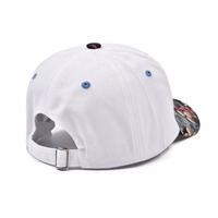 Gorra de Béisbol de Calidad 1.1 OEM ODM de 6 Paneles con Bordado 3D para Mayoristas, Fábrica BSCI, Estilo Streetwear, MOQ Bajo