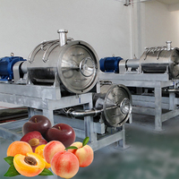 Passievruchtconcentraat Sap Pulp Verwerkingsfabriek Productielijn