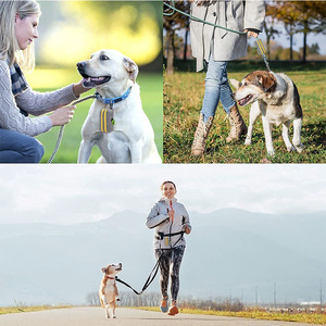 Dispensador de Bolsas para Desechos de Mascotas de Tela Oxford Personalizado con Clip de Mosquetón de Doble Cremallera y Bolsas Degradables para Almacenamiento de Excrementos de Perro - Product Image 5