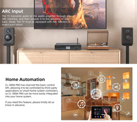 CL-300W Pro HiFi stereo amplifikatör WiFi2.4G & 5G BT5.0 H-DMI USB Subwoofer çoklu oda oyun ses güç amplifikatörü