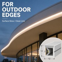Bande lumineuse néon 120 LED/m multi-CCT, 12*12mm, émettant sur le côté, flexible, en silicone laiteux, IP65, DC12/24V, avec fixation complète par clip sur rail USB