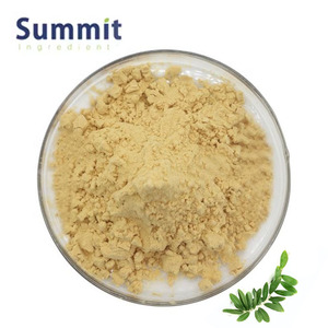 オレウロペイン粉末純粋な天然オリーブ葉エキス粉末70% オレウロペイン - Product Image 1