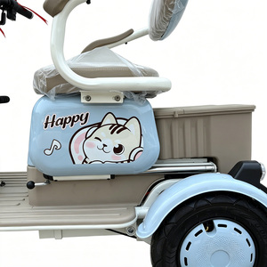 Tricycle électrique 48V 800W 20AH à plateau ouvert <span class=keywords><strong>pour</strong></span> adultes, personnes âgées et handicapées – Vélo à trois roues sans obstacle <span class=keywords><strong>pour</strong></span> adultes - Product Image 3