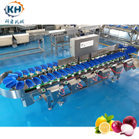 Weegsorteermachine voor dozen, geschikt voor diepvries kippenpoten, -vleugels en ander pluimveeproduct, automatische gewichtsclassificatie