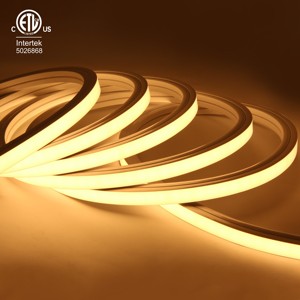 Iluminación LED de Neón para Exteriores RAYMATES <span class=keywords><strong>1212</strong></span> 24V IP67 Longitud de Corte de 50 mm Garantía de 5 Años con Certificación ETL para Publicidad - Product Image 2