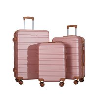 Valise de voyage à coque dure métallique simple classique avec roues utilisation de vacances en plein air ensembles de valises à bagages en ABS léger