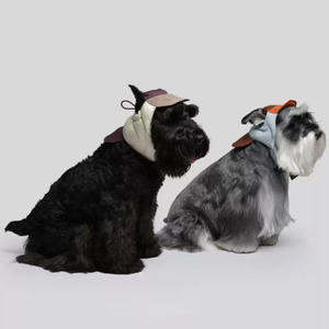 Umwelt freundliche moderne Mode Haustier hut <span class=keywords><strong>Nylon</strong></span> Solid Warm Down-Like Hund Winter Zwei-Wege-Verschleiß Kälte sicherer Flug hut Haustier Hunde hut - Product Image 1