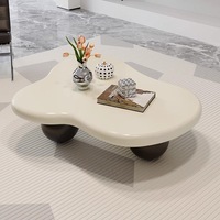 Table basse nuage irrégulière avec rangement et organisation, mobilier de maison moderne nordique minimaliste pour petits appartements