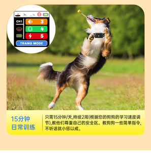 Valla Inalámbrica para Perros con GPS, Collar Electrónico, Dispositivo de Entrenamiento para Mascotas Resistente al Agua para Exteriores, Control de Ladridos, Sistema para Múltiples Perros - Product Image 4