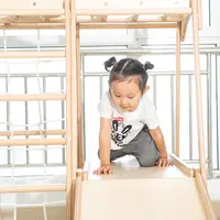 Anak-anak S Perosotan Dalam Ruangan Kayu Solid Bingkai Ayunan Bayi Kombinasi Keluarga Taman Kanak-kanak Nakal Istana Surga