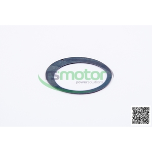 Disque d'entraînement de moteur RS-372138 Jenbacher - Product Image 4