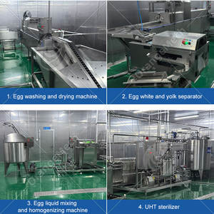 Línea de Producción de Máquinas Industriales ORME para Llenado de Huevos, Pasteurizador Automático de Huevos Líquidos, Precio - Product Image 6