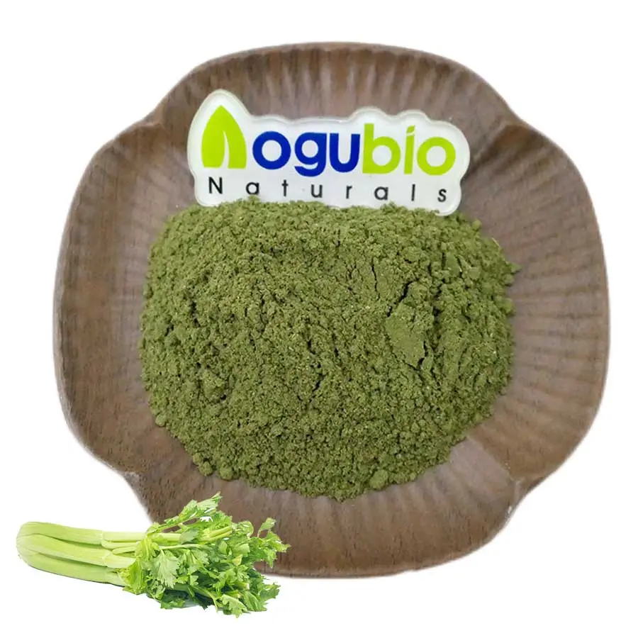 High Quality Best Price Celery Juice Powder Healthy Organic Celery Powder
