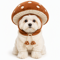 Vêtements personnalisés pour animaux de compagnie : Ensemble costume gilet polaire avec chapeau champignon pour chien, chaud pour l'hiver, pour chiots et chats de petite et moyenne taille, vente en gros OEM