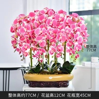 Orchidées artificielles en gros, fleurs artificielles au toucher réel, grandes orchidées Phalaenopsis rouges et blanches en pot, grande orchidée en pot