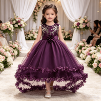 Robe en tulle bleu royal brodée or pour tout-petits, tenue de fête d'anniversaire pour bébé fille, robe de princesse pour enfant, robe de demoiselle d'honneur pour mariage