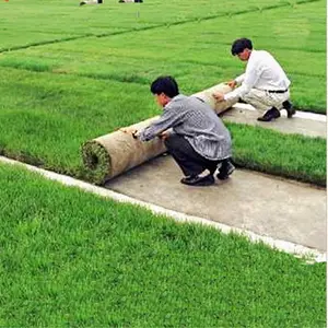 Grama artificial para jardim, grama chinesa de alta qualidade para jardim e paisagem doméstica