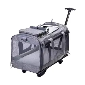 Valise chariot pour animaux domestiques, sac de voyage respirant à roulettes pour sorties pour chat, type valise pliable