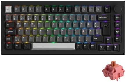 สีดำ เงิน โรสวูด