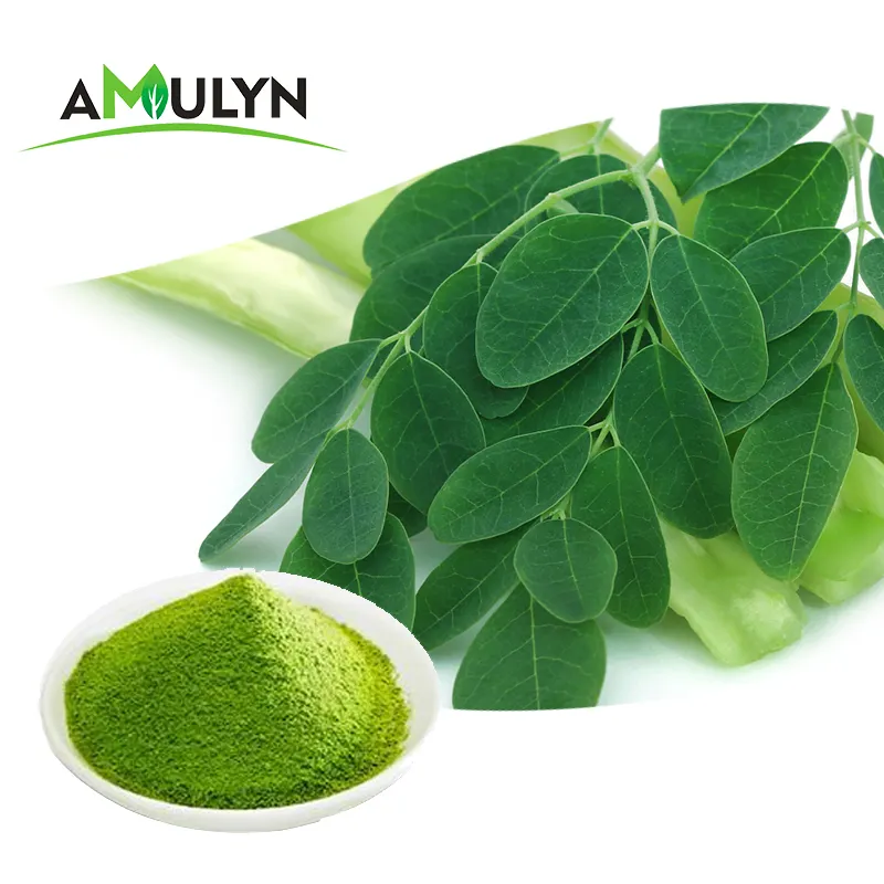 Natural Herb extract Moringa Leaves Moringa Oleifera Leaf Powder