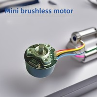 Moteur CC sans balais basse tension IP68 étanche pour robot sous-marin, propulseur ROV, pompe électrique, agitateur magnétique, OEM disponible