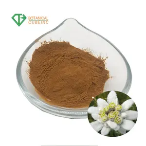 Beauty Care Ingredients Leontopodium Alpinum Edelweiss Flower Extract Powder 1% Ferulic Acid