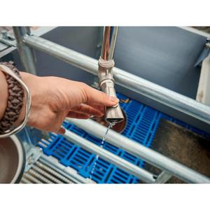 <span class=keywords><strong>Prix</strong></span> d'usine Caisse <span class=keywords><strong>de</strong></span> mise bas pour truies, Parc <span class=keywords><strong>de</strong></span> maternité pour porcherie, Cages pour animaux d'élevage porcin - Product Image 4