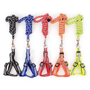 Correas para Mascotas de Nailon 100% Personalizadas al por Mayor, de 1.2m, Coloridas, Reflectantes, de Lujo, Suaves, Duraderas, Simples, Ajustables, para Perros y Gatos, para Paseos al Aire Libre - Product Image 6