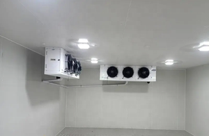 Mejor Precio - Cámara Frigorífica de -18 a -25 Grados, Cámara Frigorífica, Contenedor Refrigerador Personalizado para Restaurante - Product Image 4