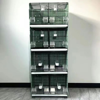 Loquet de porte de cage à pigeons en fil métallique de luxe moderne pour le commerce de détail, avec plateau en plastique, pour le transport et l'élevage de pigeons de course, résistant à la rouille, qualité professionnelle