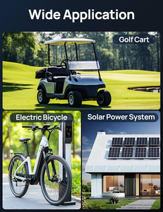 24v, 36v, 48v, 60v72v के लिए 13-60v, 48v, 60v72v बैटरी 900w Mpt नियंत्रक को बढ़ावा देता है - Product Image 2