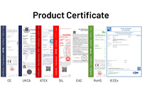 Transmisor de Presión Industrial en Línea con Sensor de Tensión, Sistema Hidráulico IP65, 0.25%FS, 4-20mA, 0-5V, 0-10V, 100-1500 Bar, SS304, ZHYQ