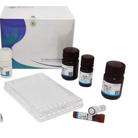 2X SYBR Green QPCR Master Mix, Hot Start Taq Polymerase, comprend un colorant ROX