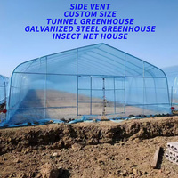 Serre tunnel agricole et horticole complète : ensemble d'équipement, petite serre mono-chapelle en PE avec structure de cadre
