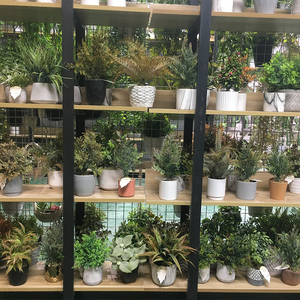 <span class=keywords><strong>บอน</strong></span>ไซประดิษฐ์พลาสติกพื้นที่ขนาด<span class=keywords><strong>เล็ก</strong></span>สำหรับตกแต่งผนังบ้าน<span class=keywords><strong>สี</strong></span>เขียวเหมือนต้นไม้ในร่ม - Product Image 5