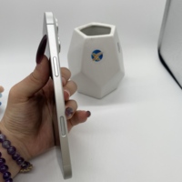 Yüksek Kaliteli Akıllı Telefon İkinci El Cep Telefonları Orjinal Kullanılmış iPhone 16 Plus 512GB 5G Özellikli Akıllı Telefon