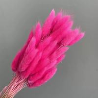 Herbe de Lagurus Ovatus (Queue de Lapin) Stabilisée pour Arrangements Floraux de Mariage et Décoration Bohème