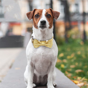 Venta al por mayor personalizado Collar de perro mascota mediano pequeño de lujo ajustable de nailon brillante brillo hebilla de metal Collar de perro mascota para perros - Product Image 3