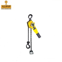 Palans à chaîne manuels ALLMAN de 6 tonnes avec une hauteur de levage de 1,5 m à vendre