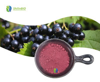 SLBIO Fabriek Leverancier Zwarte Bes Zwarte Bes Fruitpoeder Zwarte Bes Poeder