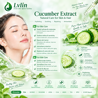 Extrait de Concombre Naturel Liquide Hydratant Apaisant Matière Première pour Tonique Masque Soin de la Peau Savon – Prise en charge OEM Marque Privée