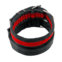 Collier pour chien réglable à double rangée, design personnalisé Muker, luxe, pour grands Pitbulls, rubans solides, chasse en plein air, toutes saisons, polyester