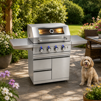 Barbecue à gaz en acier inoxydable 304 personnalisé avec grille en acier inoxydable 430 S/S, moderne, compact, portable, pour jardin extérieur